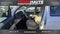 2014 Toyota Tacoma 4WD DOUBLE CAB V6 MT