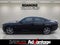 2014 Dodge Charger RT Plus